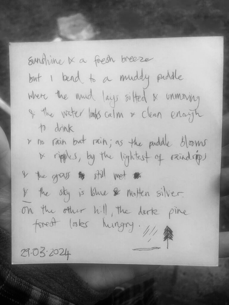 A Poem about The Day